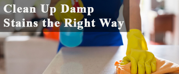 Clean Up Dump stains 