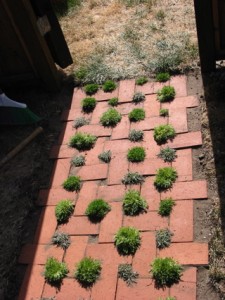 Brick paving Standards and Patterns | Euro Paving