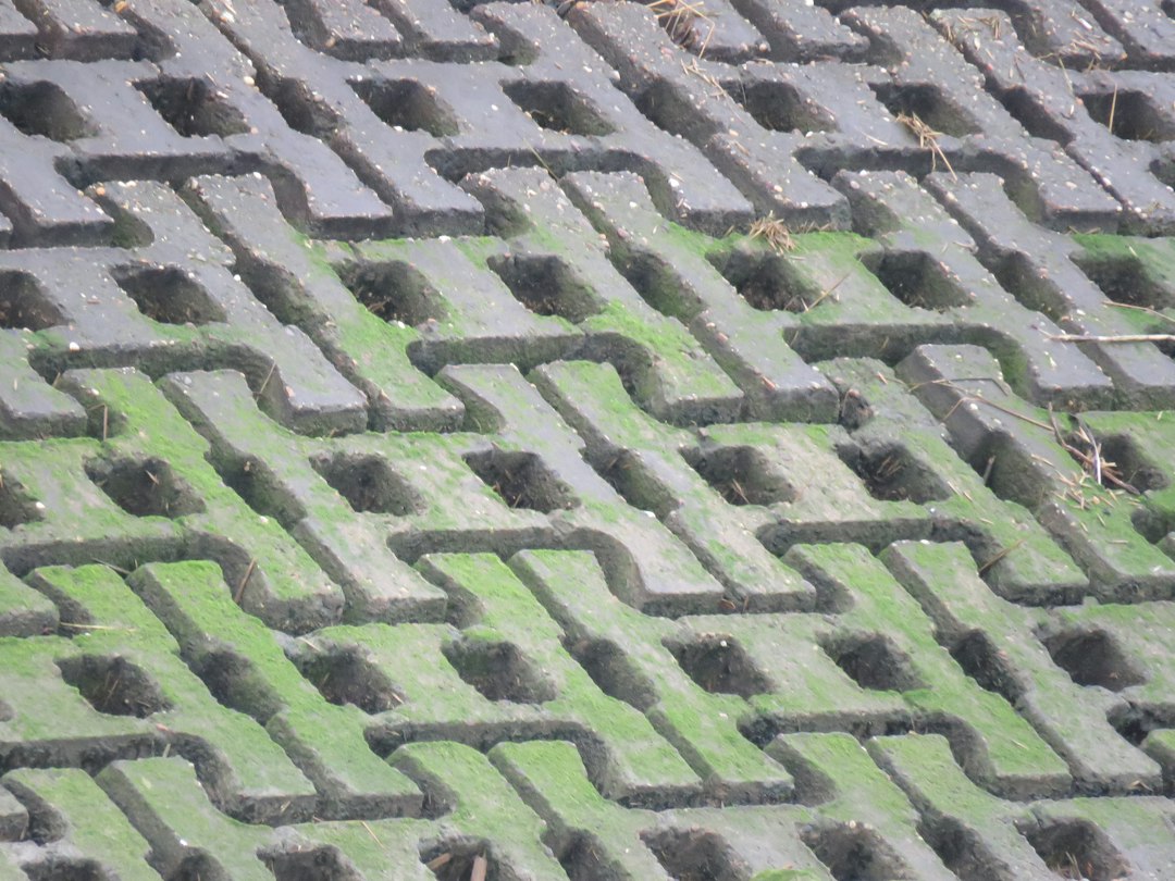 Concrete grid pavers with lush green grass infill in a residential driveway - driveway bricks with holes for grass Concrete grid pavers with lush green grass infill in a residential driveway - driveway bricks with holes for grass