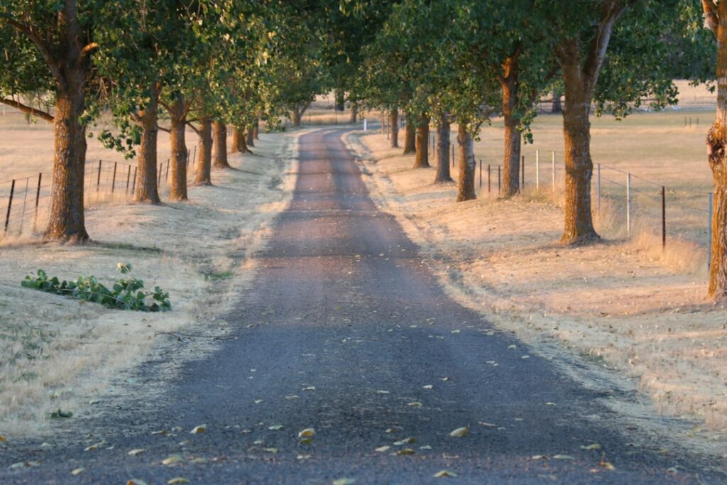 driveway asphalt repair