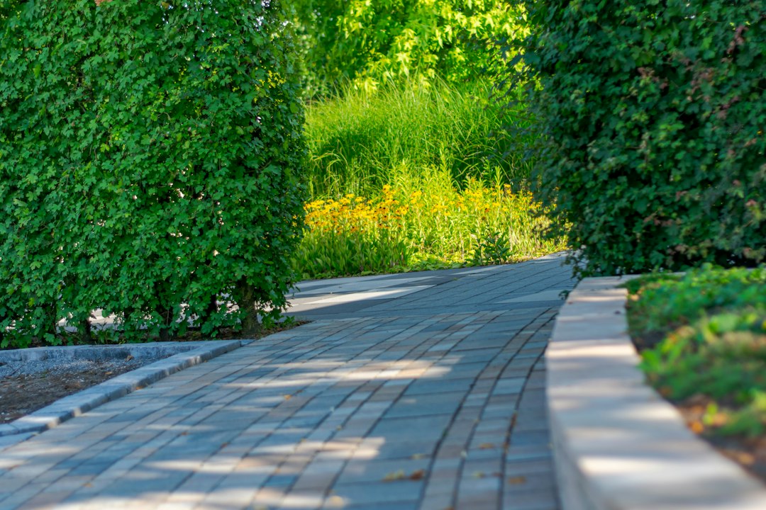 A beautifully curved brick paver walkway framing a lush front yard with landscaping