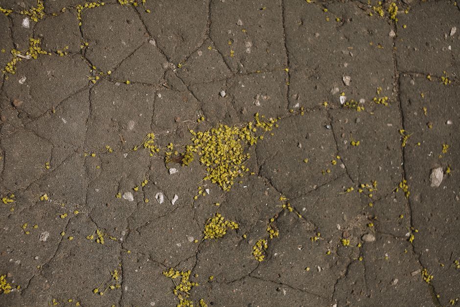 fixing large cracks in concrete driveway