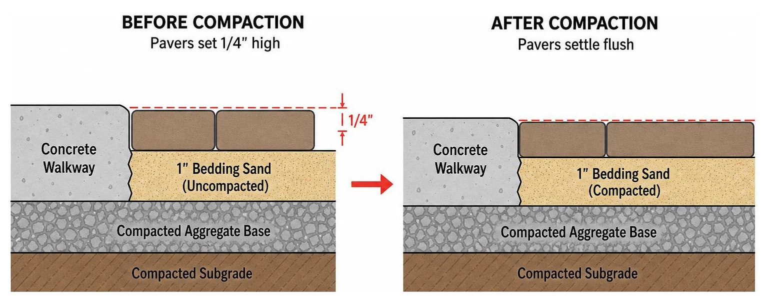Diagram showing the height difference before and after compaction: pavers set 1/4 inch high on bedding sand, settling flush