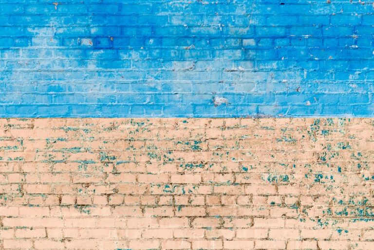 painted brick backyard wall